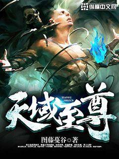 天域至尊攻略