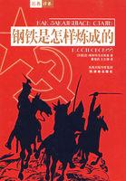 钢铁是怎样炼成的知识点整理及归纳考点