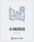 歌曲小城雨巷