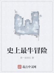 史上最大冒险
