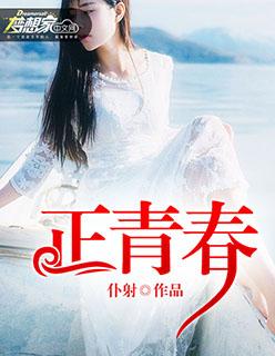 正青春在线观看免费完整版电视剧