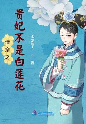 清穿之贵妃 快穿