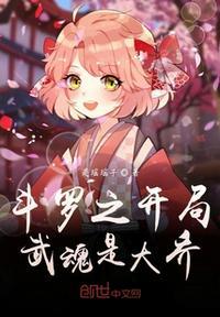 斗罗大陆开局武魂是魂环