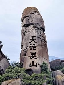大话灵藤