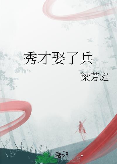秀才娶了兵完结了吗