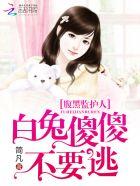 黑腹小白兔